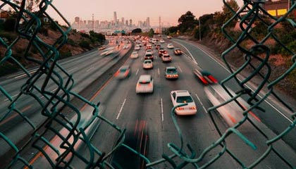 破晓时分：二十年锈迹里开出的玫瑰